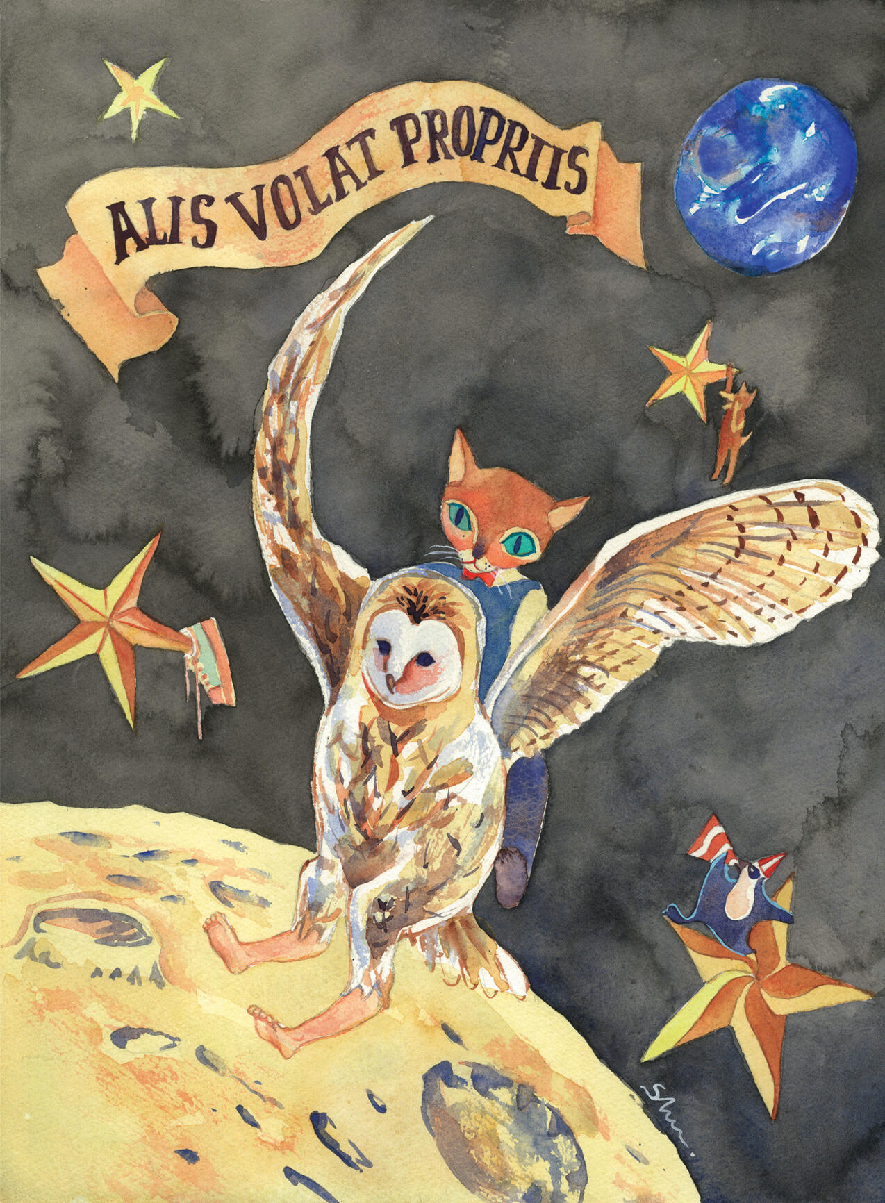 Cat & Owl